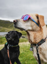 Party Starter Sustainable Sunglasses
