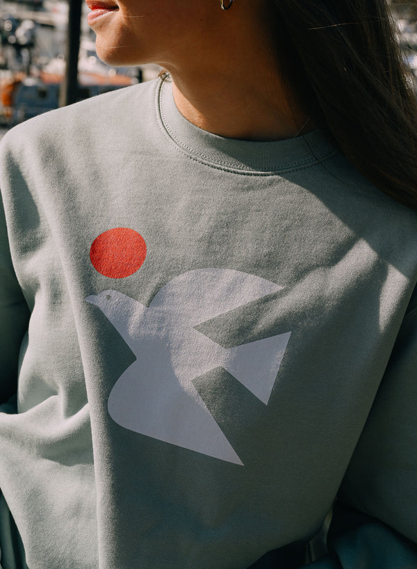Warbird of Peace Sweatshirt