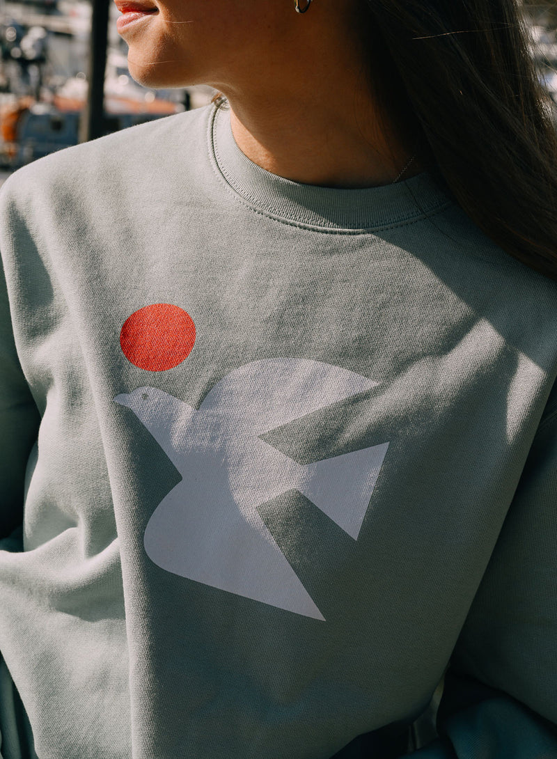 Warbird of Peace Sweatshirt